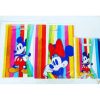 BOLSAS RIÑON DISNEY 30x40