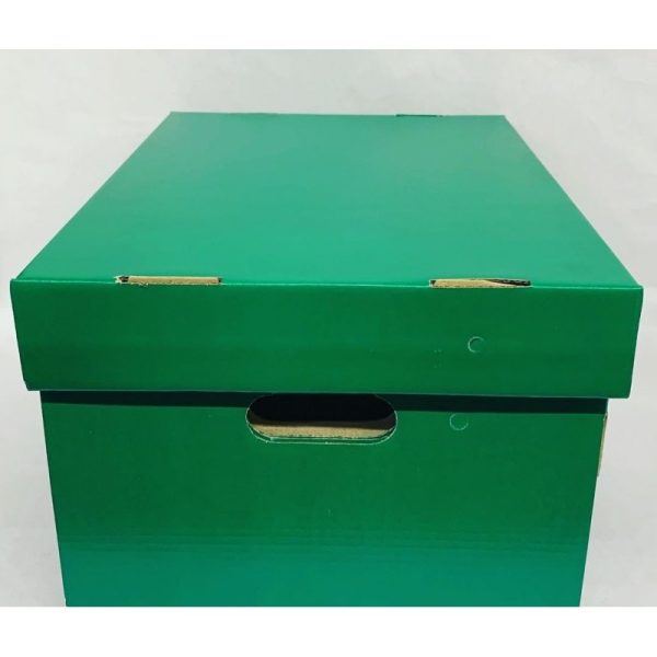 CAJA PARA ARCHIVO CARTON VERDE